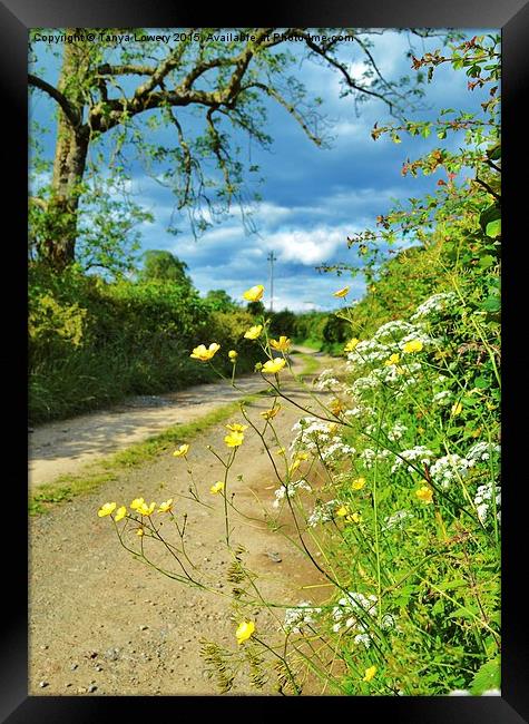  Buttercup lane Framed Print by Tanya Lowery