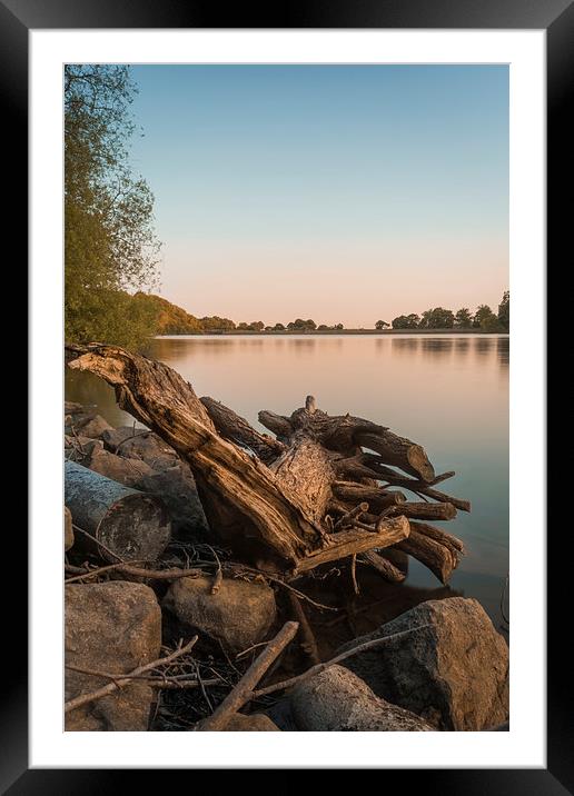 sunset over knypersley Reservoir no2 Framed Mounted Print by Andy Evans