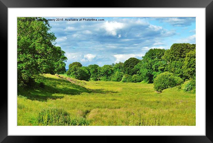 wild meadow Framed Mounted Print by Tanya Lowery