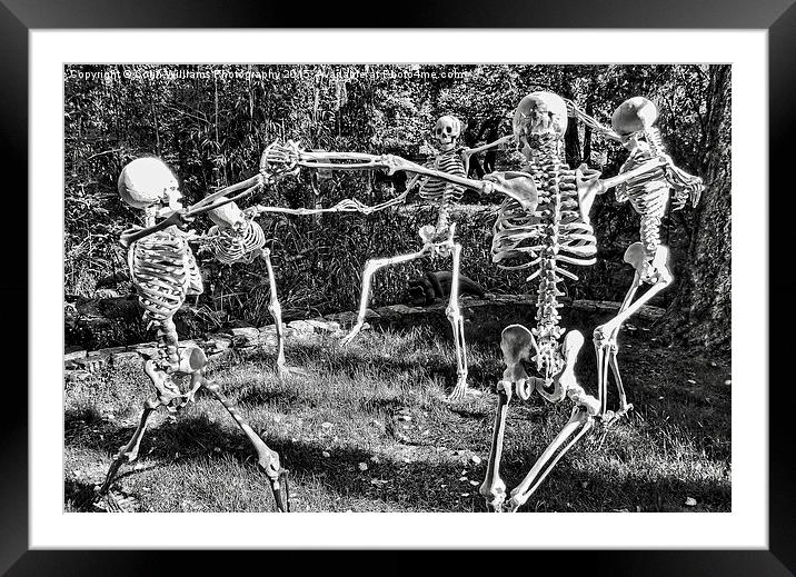  Dancing Skeletons  Framed Mounted Print by Colin Williams Photography