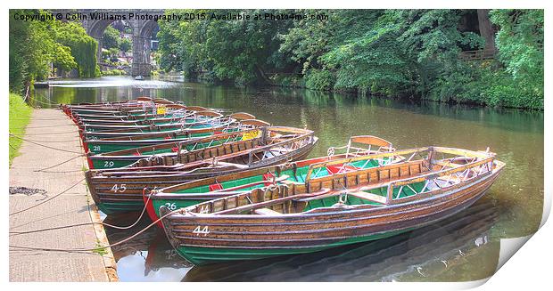  Knaresborough Rowing Boats 6 Print by Colin Williams Photography