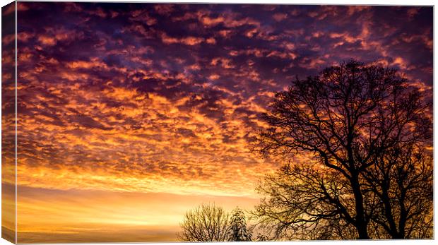  Red dawn Canvas Print by Gary Schulze