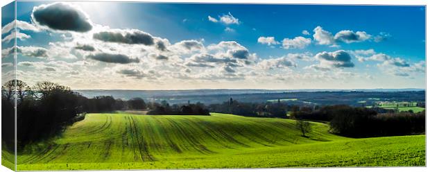 Rolling hills Canvas Print by Gary Schulze