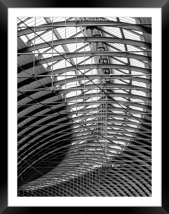  Station Roof Framed Mounted Print by Alexander Perry