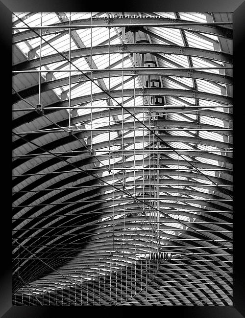  Station Roof Framed Print by Alexander Perry