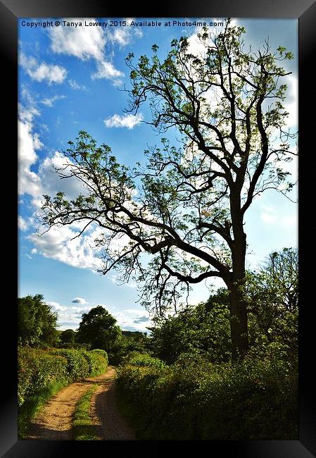  Down the lane Framed Print by Tanya Lowery