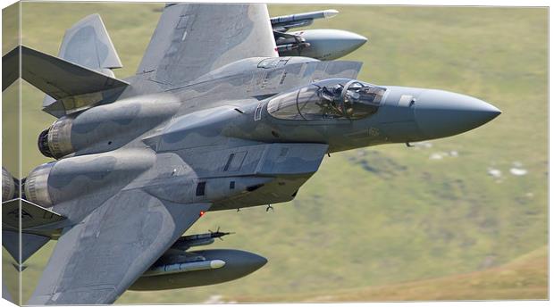  F15 C of 493rd Fighter Squadron - The Grim Reaper Canvas Print by Rory Trappe