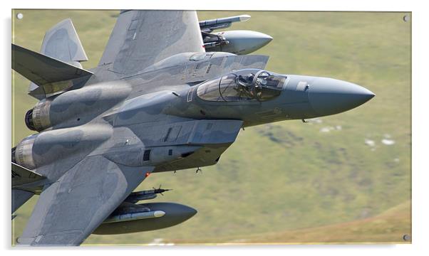  F15 C of 493rd Fighter Squadron - The Grim Reaper Acrylic by Rory Trappe