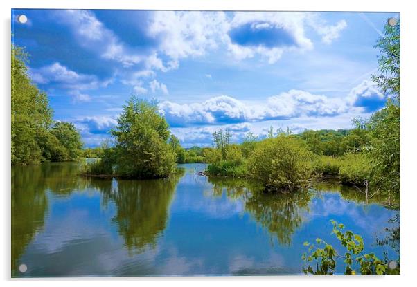 Stockers Lake Nature Reserve Rickmansworth Acrylic by Sue Bottomley