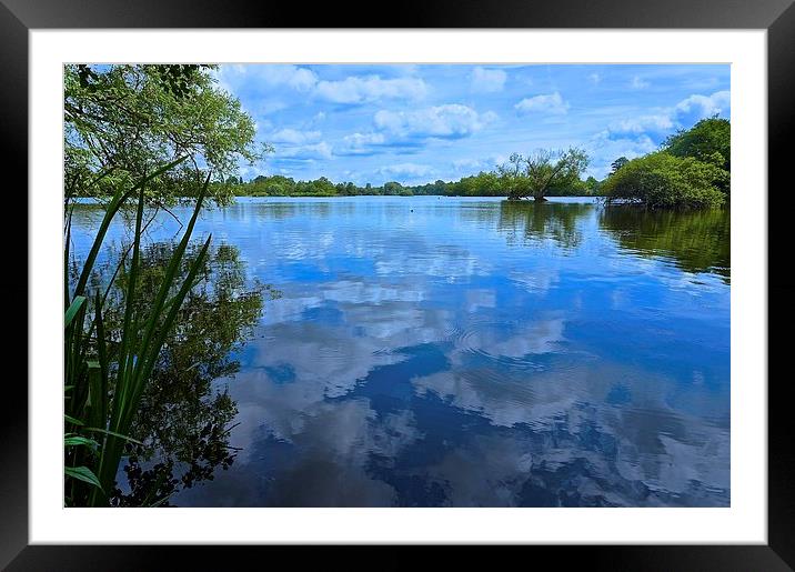 Stockers Lake Nature Reserve Rickmansworth Framed Mounted Print by Sue Bottomley