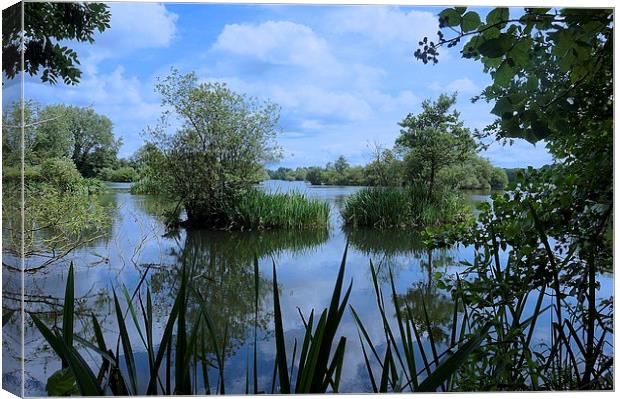 Stockers Lake Nature Reserve Rickmansworth Hertfor Canvas Print by Sue Bottomley