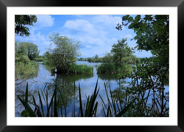 Stockers Lake Nature Reserve Rickmansworth Hertfor Framed Mounted Print by Sue Bottomley
