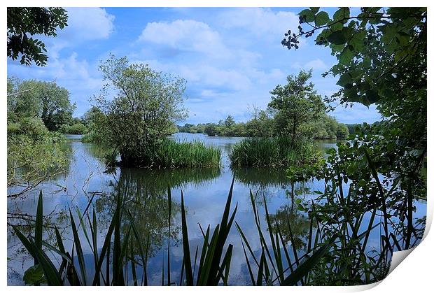 Stockers Lake Nature Reserve Rickmansworth Hertfor Print by Sue Bottomley