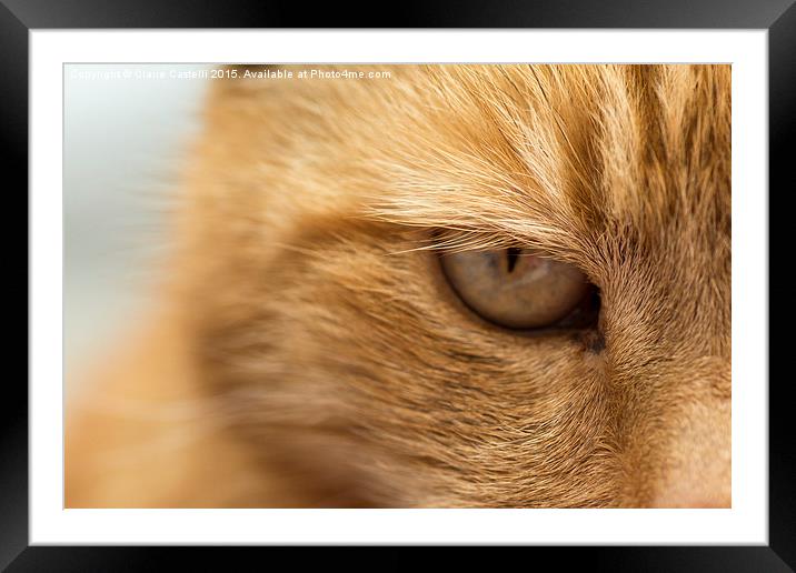 Ginger Cat Framed Mounted Print by Claire Castelli