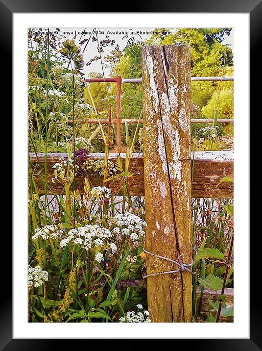  wild flowers at the bridge Framed Mounted Print by Tanya Lowery