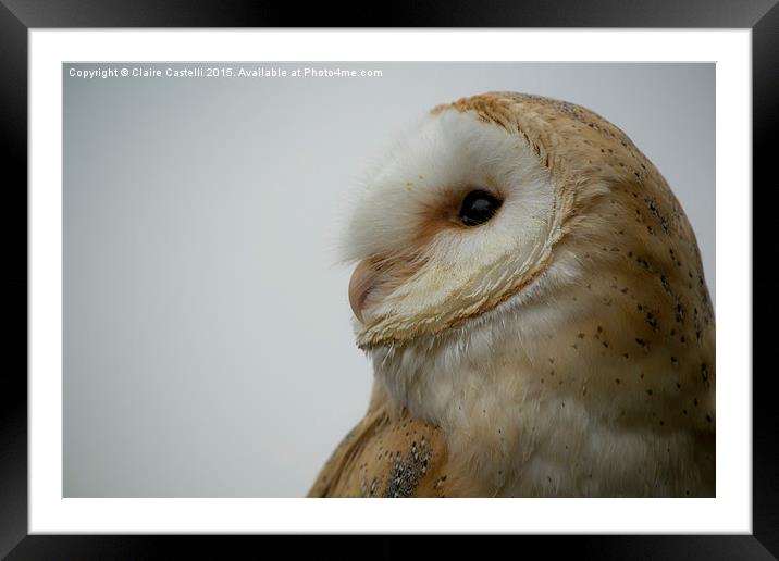 Barn Owl Framed Mounted Print by Claire Castelli