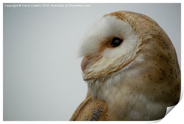 Barn Owl Print by Claire Castelli