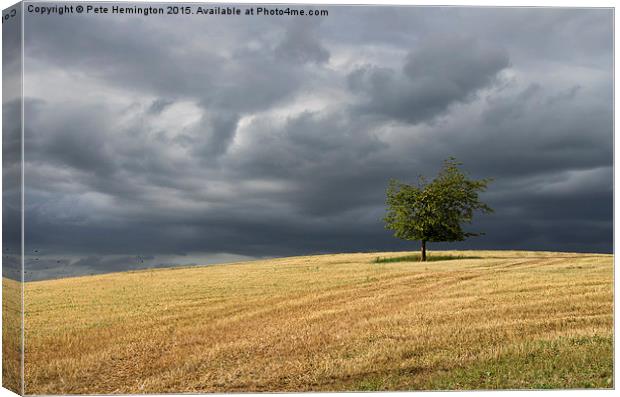  Stormy clouds and lone tree Canvas Print by Pete Hemington