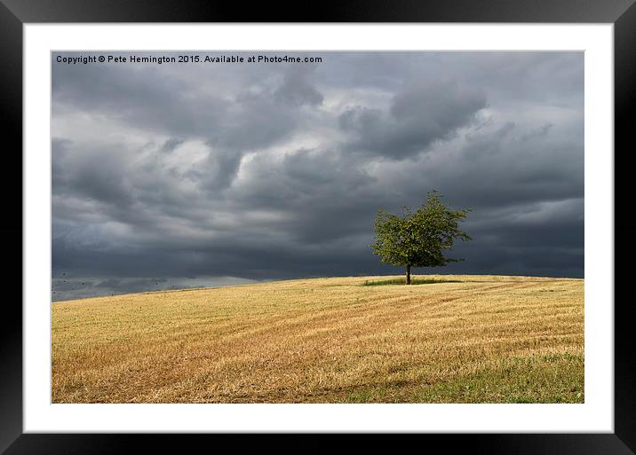  Stormy clouds and lone tree Framed Mounted Print by Pete Hemington
