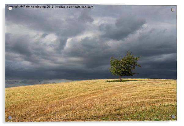  Stormy clouds and lone tree Acrylic by Pete Hemington
