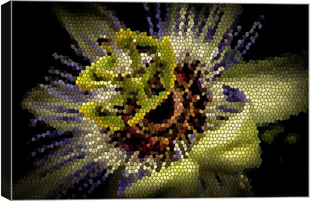  Passion flower stained glass effect Canvas Print by Gary Schulze
