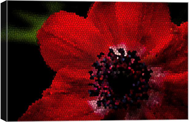 Red flower stained Canvas Print by Gary Schulze