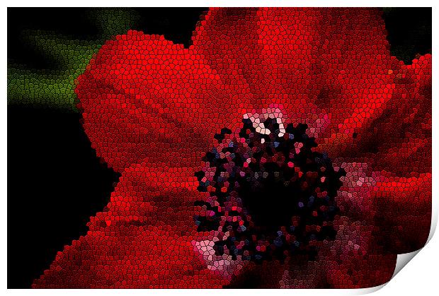 Red flower stained Print by Gary Schulze