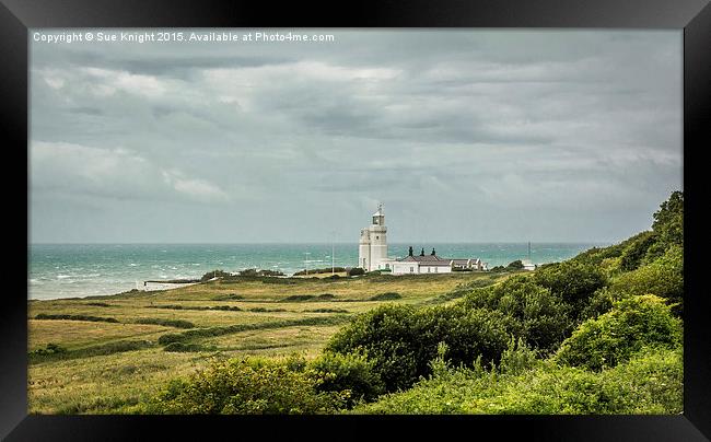St. Catherine's Lighthouse Framed Print by Sue Knight
