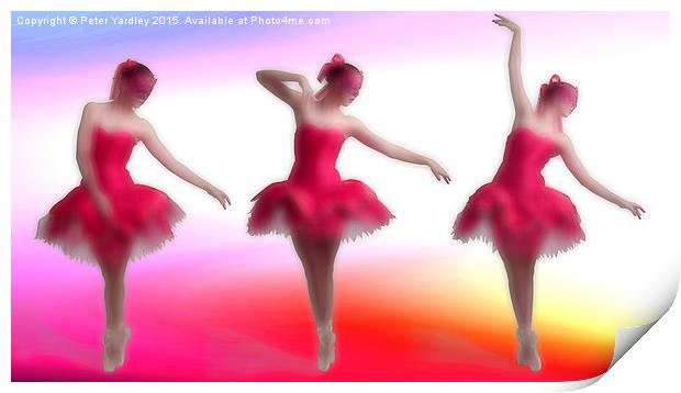 The Ballerina Print by Peter Yardley