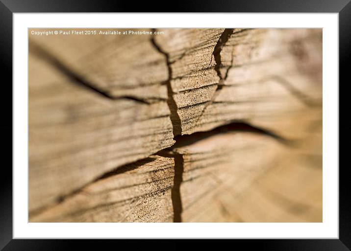 Wooden log Framed Mounted Print by Paul Fleet
