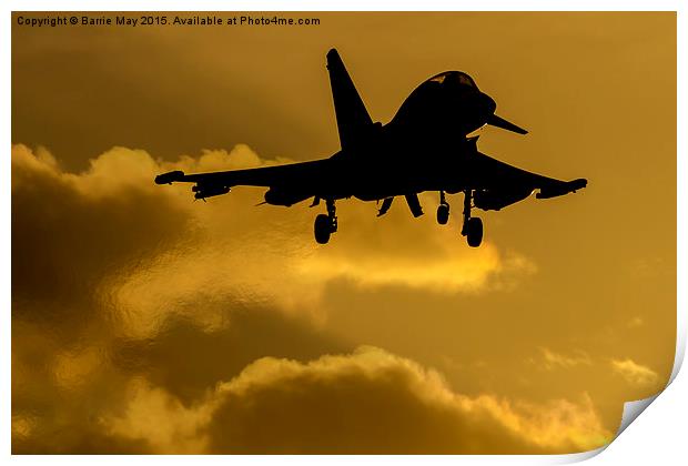 Evening Sortie Print by Barrie May