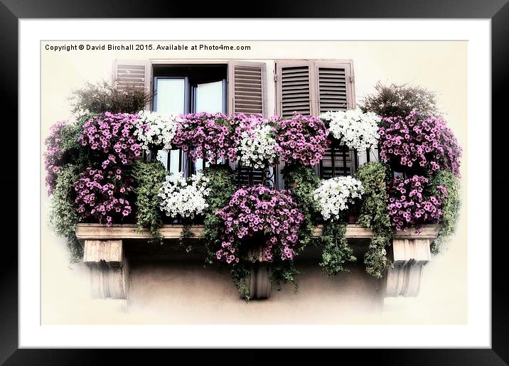  A Balcony in Rome Framed Mounted Print by David Birchall