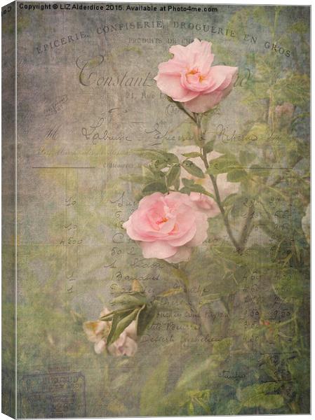  Vintage Rose Poster Canvas Print by LIZ Alderdice