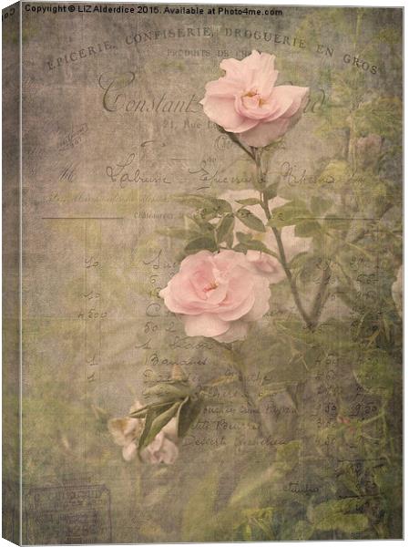 Vintage Rose Poster Canvas Print by LIZ Alderdice