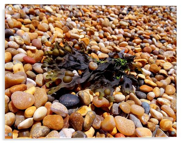 Bladderack Seaweed on Chesil Beach Acrylic by Teresa Moore