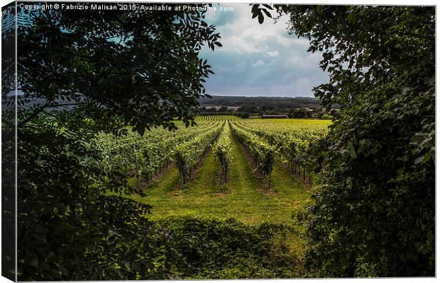 A Natural Window into a British Vineyards  Canvas Print by Fabrizio Malisan