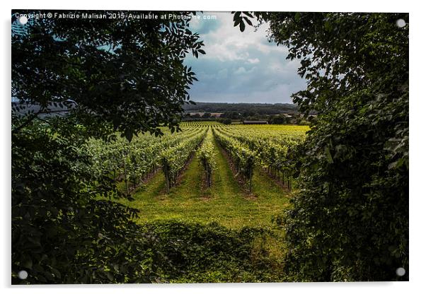 A Natural Window into a British Vineyards  Acrylic by Fabrizio Malisan