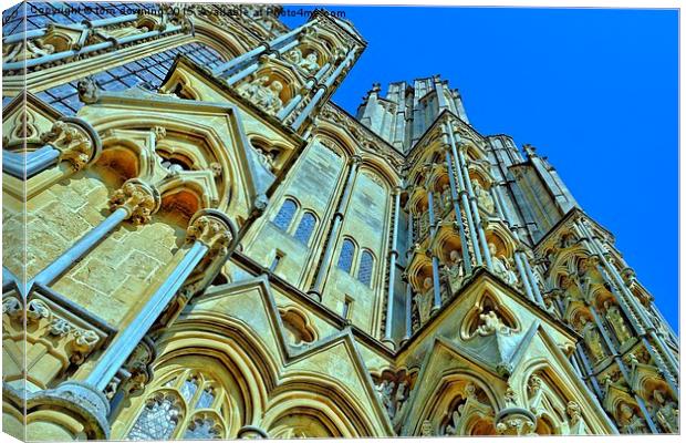  Wells Cathedral  Canvas Print by tom downing