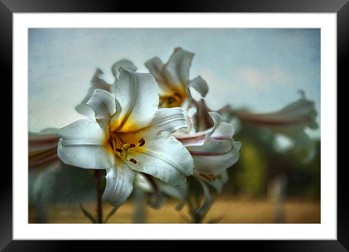 The Calling Framed Mounted Print by Belinda Greb