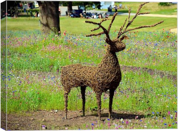 Majestic Cane Deer in Trentham Meadows Canvas Print by Andrew Heaps