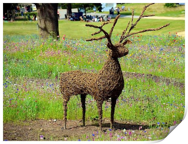 Majestic Cane Deer in Trentham Meadows Print by Andrew Heaps
