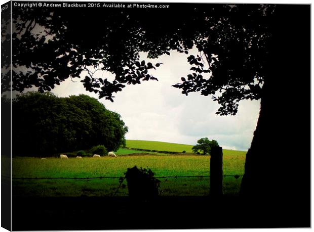 The sillouette and the sheep... Canvas Print by Andy Blackburn