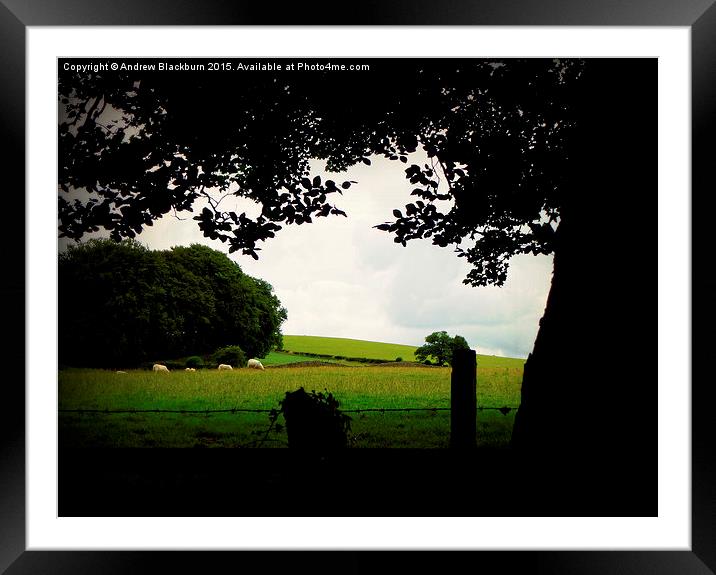 The sillouette and the sheep... Framed Mounted Print by Andy Blackburn
