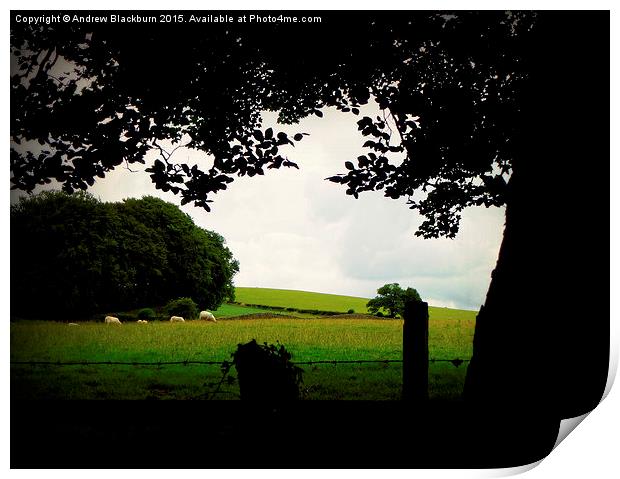 The sillouette and the sheep... Print by Andy Blackburn