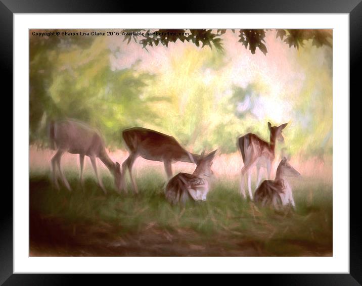 Deer Park Framed Mounted Print by Sharon Lisa Clarke