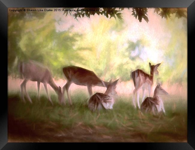 Deer Park Framed Print by Sharon Lisa Clarke