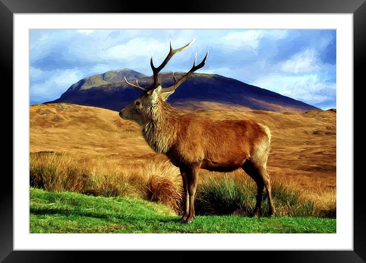  Stag Framed Mounted Print by Sam Smith