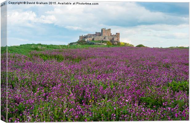 Bamburgh Castle with a field of wild flowers Canvas Print by David Graham