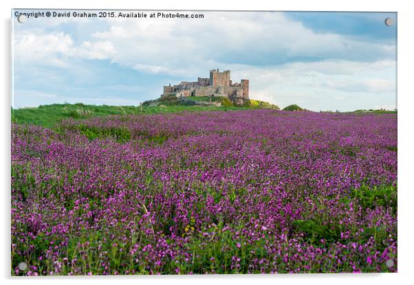 Bamburgh Castle with a field of wild flowers Acrylic by David Graham