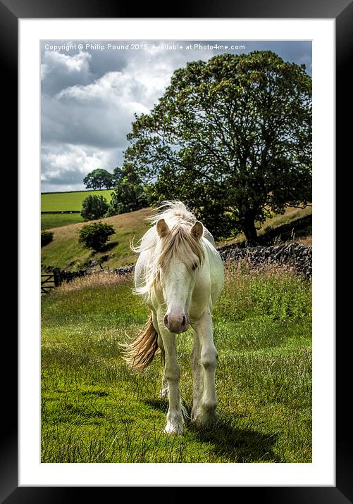 White Horse in the Peak District Framed Mounted Print by Philip Pound